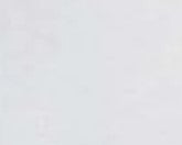 Taylor Park 2024 Reunion Tee (solid color) youth sizes